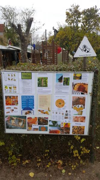 Eine kleine Reise durch das Bienenleben an meinem Garten für Nachbarn und die kleinen Gäste