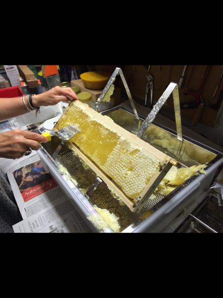 Das öffnen der Honigwaben vor dem Schleudern