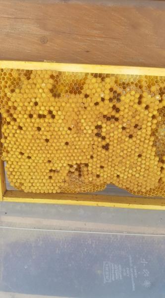 Auf die Drohnen fertig los...2019