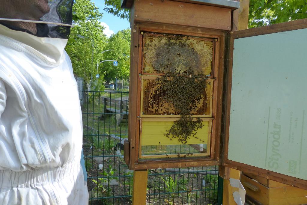 Der fertige Schaukasten