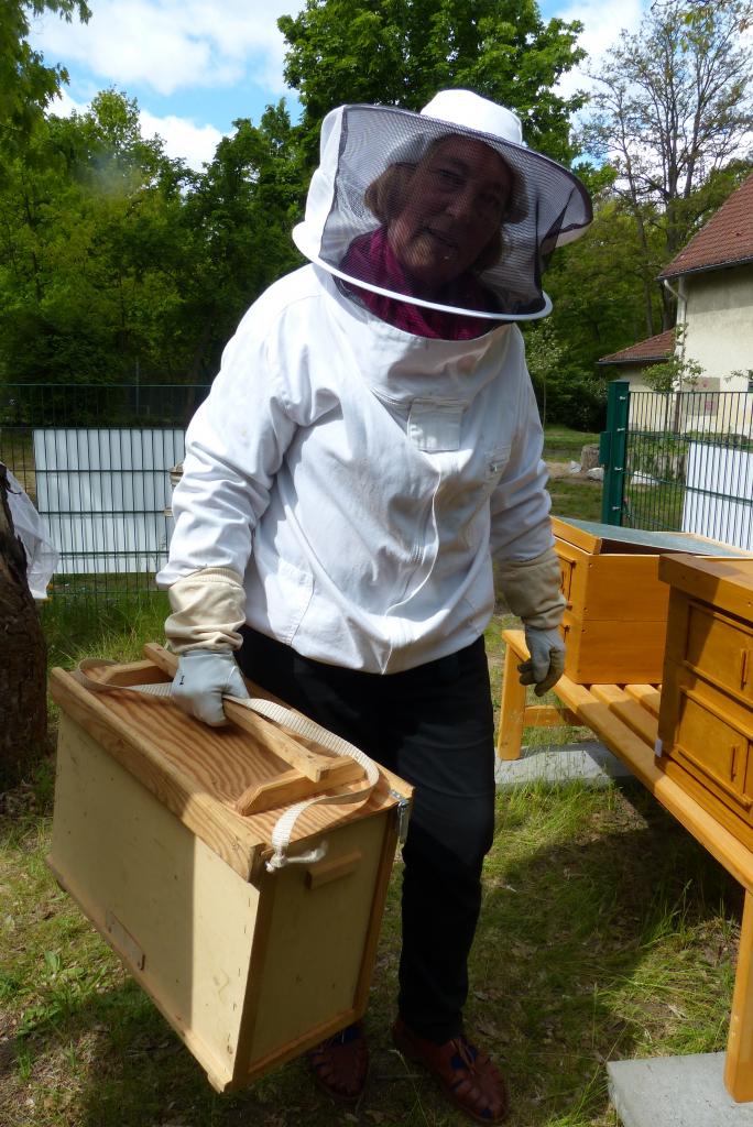 Der Schwarm in der Kiste