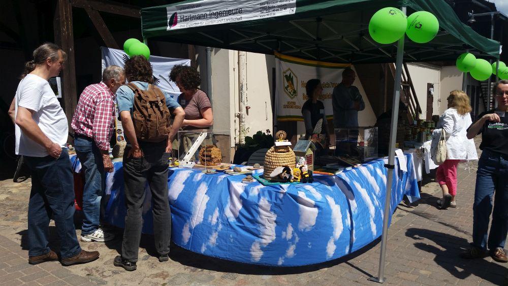 Wildbienen und Wespen waren Schwerpunkt an diesem Stand.<br />Bild: Melanie von Orlow