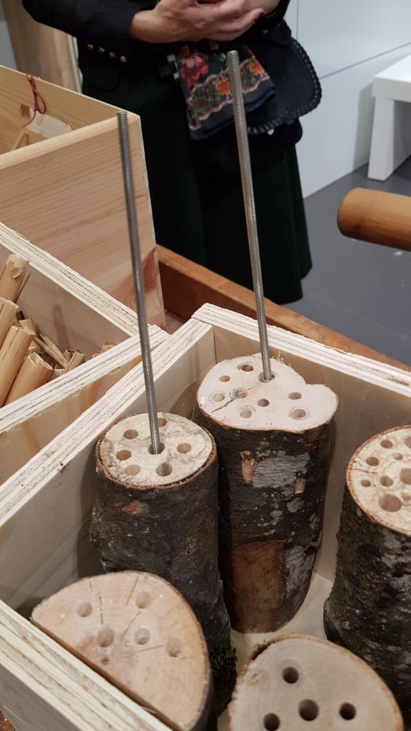 Guter Tipp bei diesem Stand zum Wildbienenhotel-bauen: Das Reinigen der Bohrlöcher mit dünnen Gewindestangen!