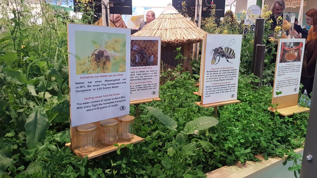 Am Stand des BMEL blühte es