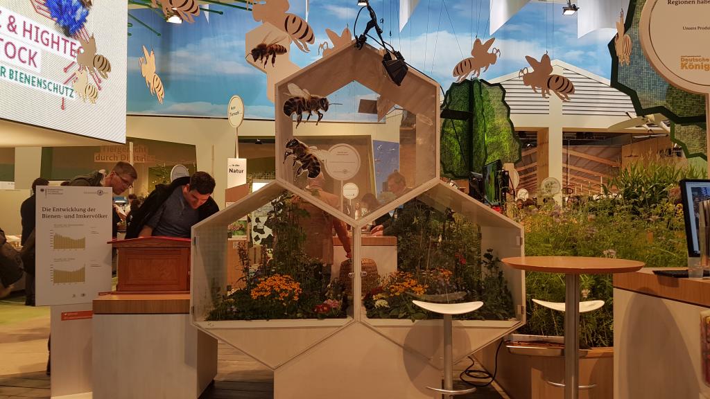 Beim BMEL gab es auch einen tollen Freiflugraum im Sechseck.