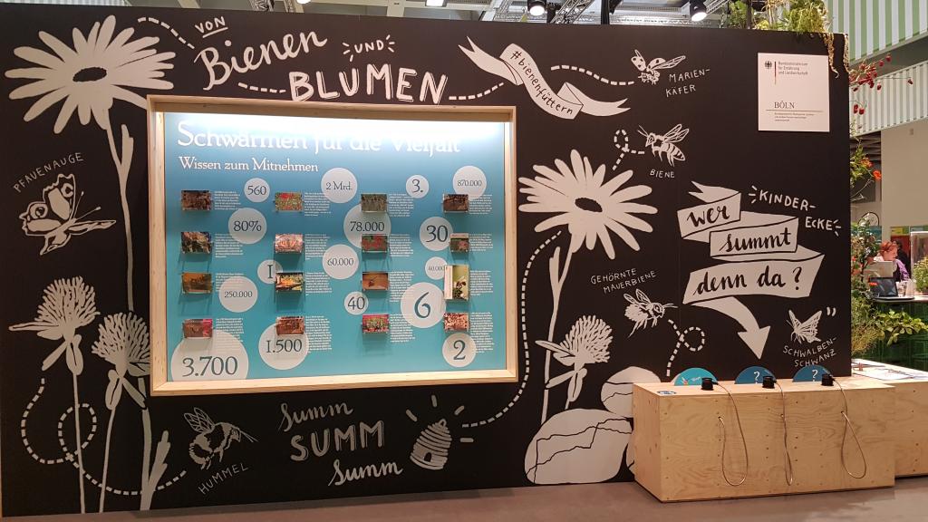 Eine schöne Info-Wand mit Postkarten mit Insektenschutztipps.