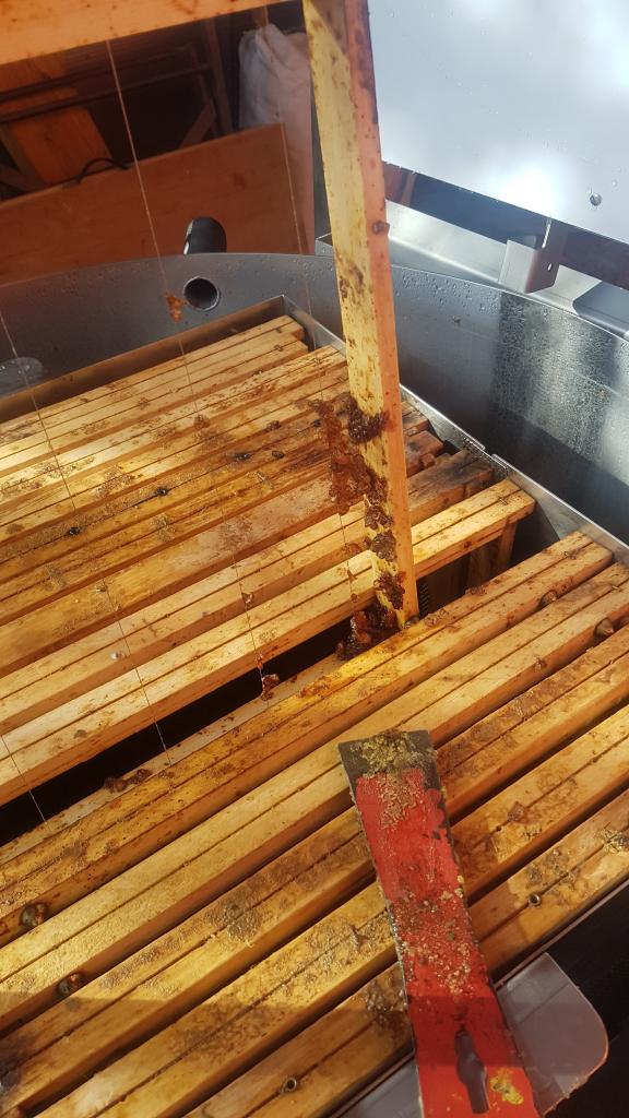 Die Rähmchen sind schön geleert aber ganz ohne Nachkratzen geht es auch hier nicht.