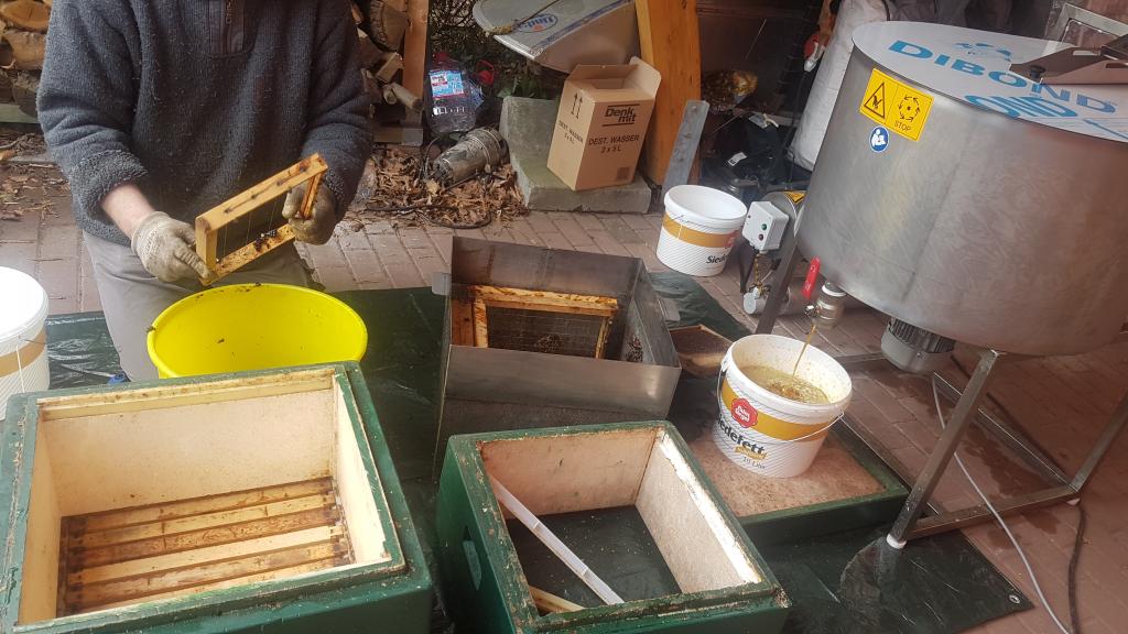 Die Maschine ist schneller als man die Rähmchen nachputzen kann - alleine arbeitend ergibt sich damit  ein 20 Minuten-Takt für einen Reinigungsgang.