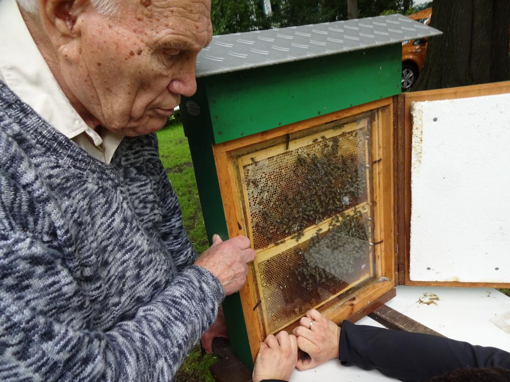 Das Bienenschauvolk war natürlich auch mit dabei!