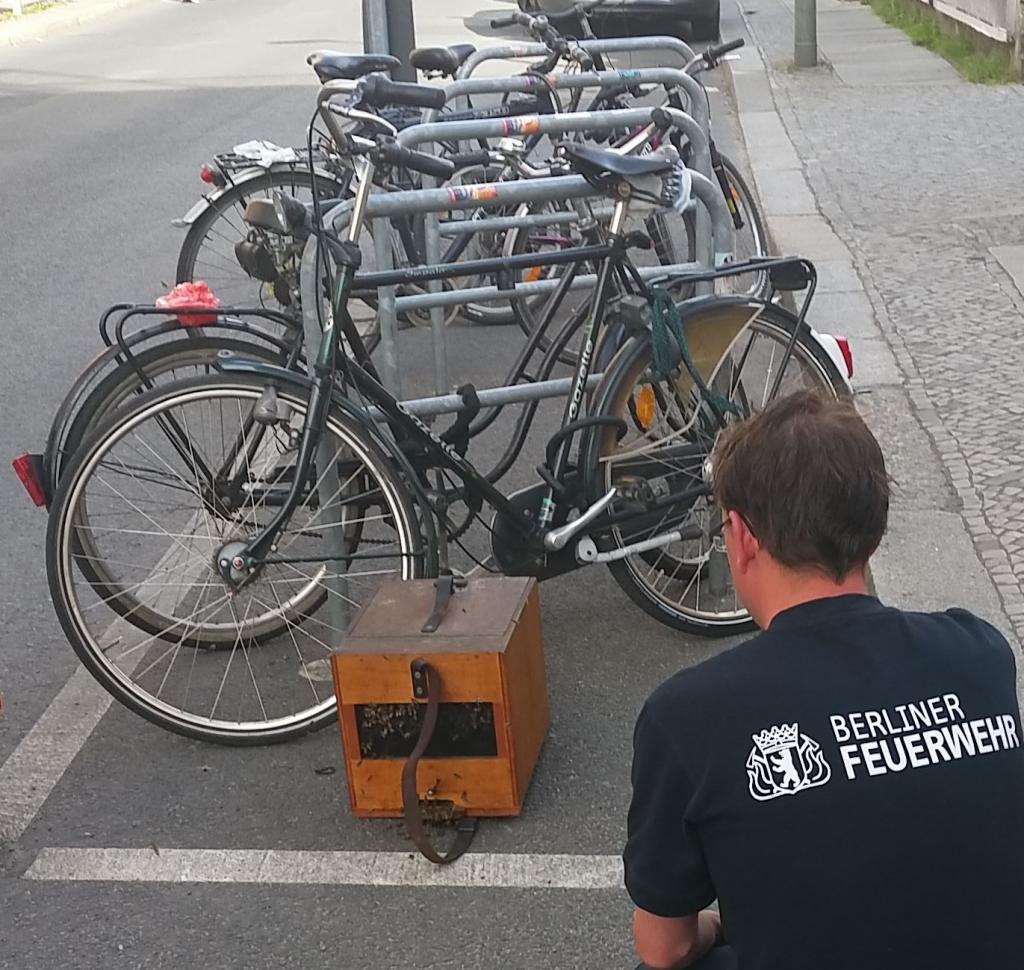 Fang des Fahrradschwarms (Bild: P. Siebert)