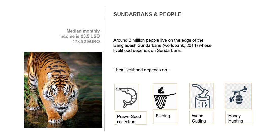 Die Witwen der durch Tiger-Attacken verunglückten Honig-Jäger werden von der Dorfgemeinschaft isoliert und gelten als Unglücksbringer. Sie sollen nun lernen, andere Bienenarten außerhalb des Waldes zu halten um sich selbst zu versorgen.