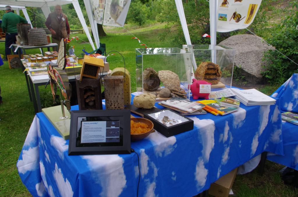 Vieles zu sehen und anzufassen!