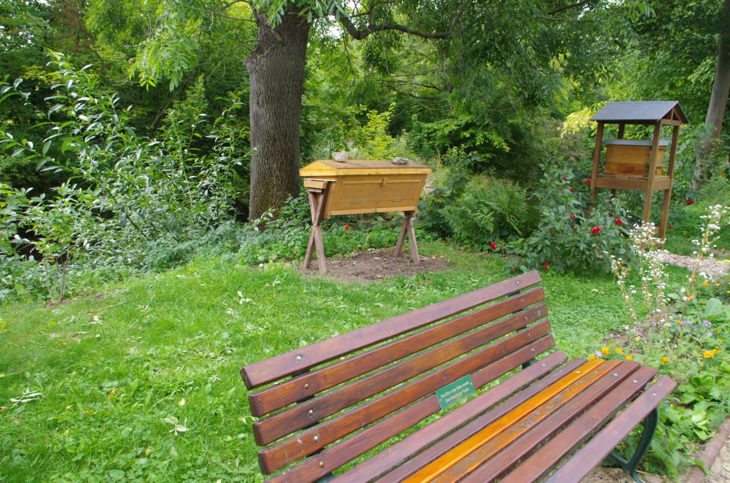 Bienengarten mit Top-Bar-Hive