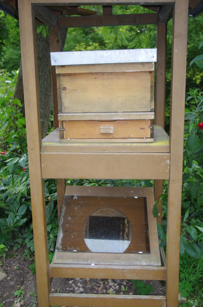 Diese raffinierte Beute...