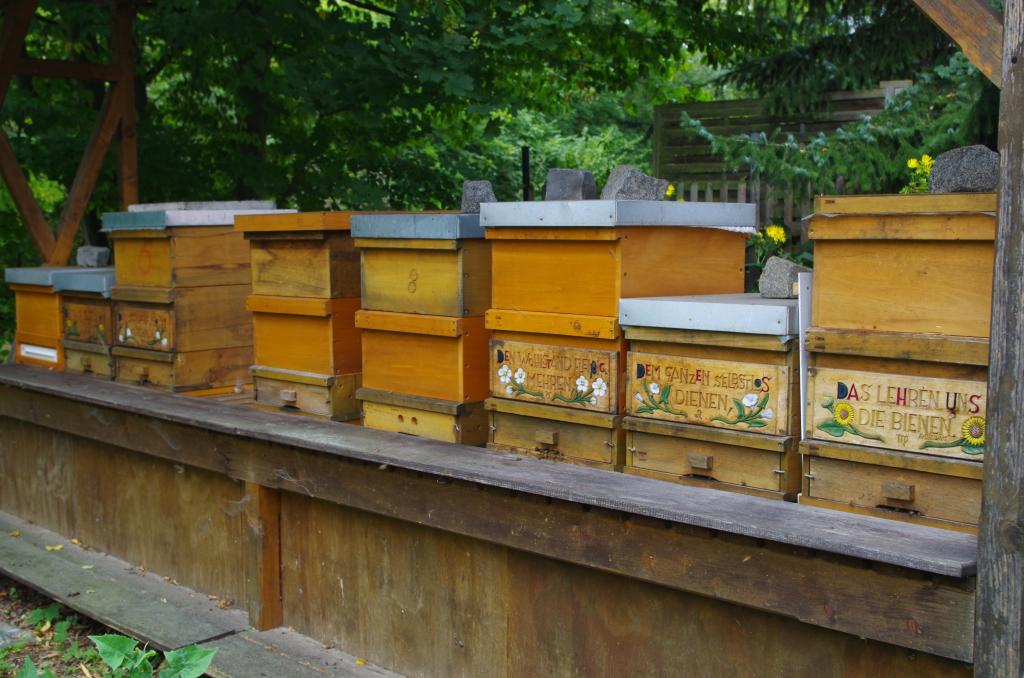 Ein Bienenstand summt im Garten<br /> 