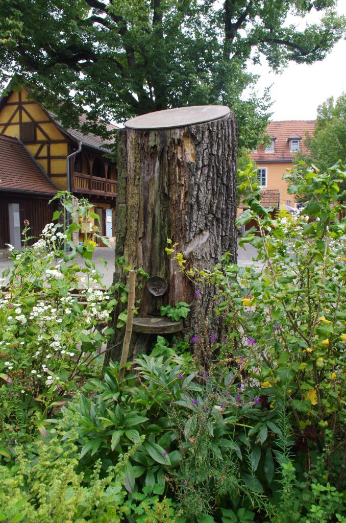 Ein hohler Baum...<br /> 