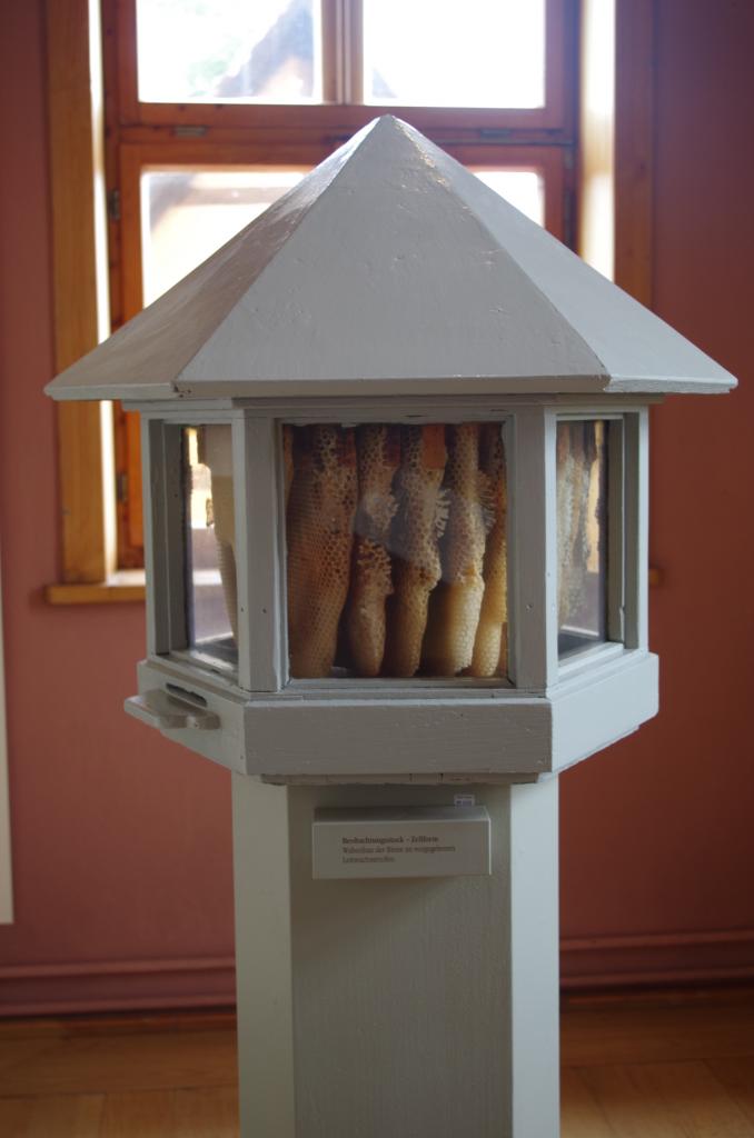 Eine Naturbauschaubeute