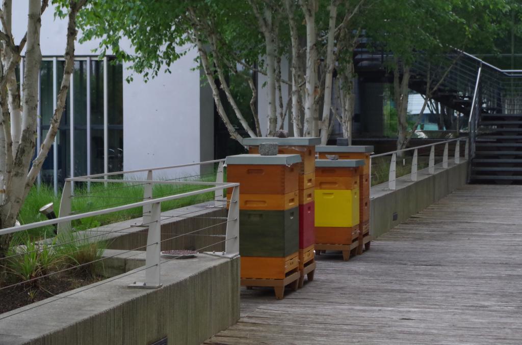 Die Bienenvölker in der Botschaft (Bild: Melanie von Orlow)