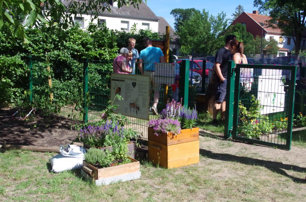 Robert Gummi im Einsatz am eingezäunten Bienenschaukasten der Schule