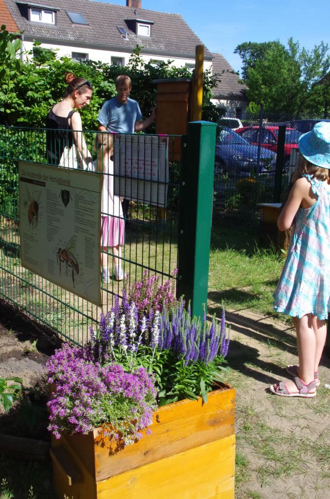 bienengerecht bepflanzte Zargen am Eingang zum Schauvolk