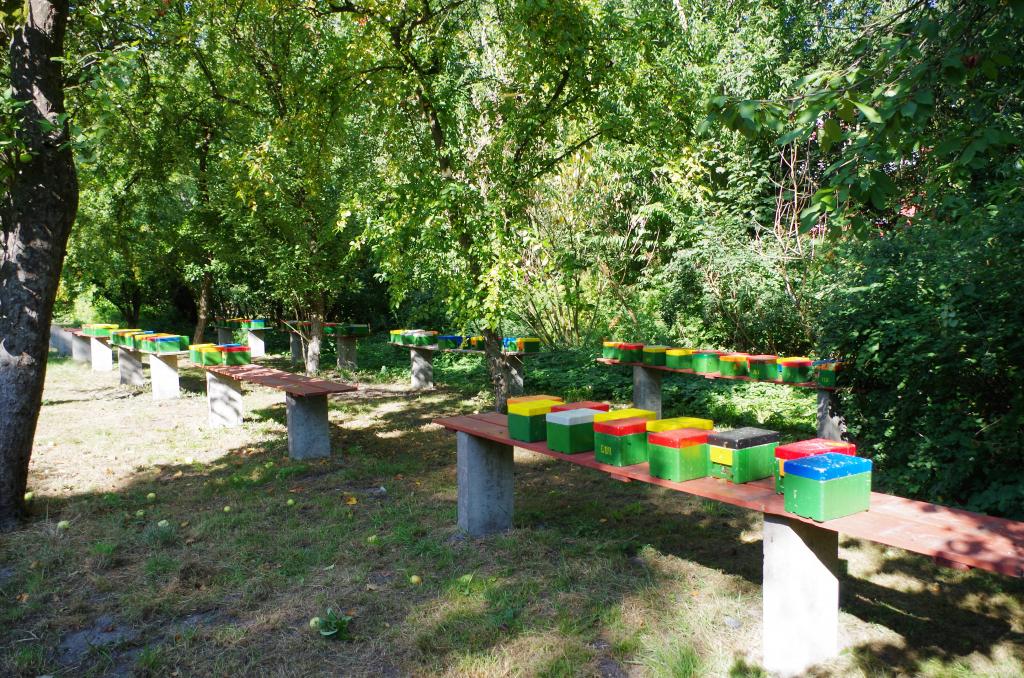 Abverkauf bei den Königinnen - die Imker stehen wie diese Begattungskästchen Schlange...