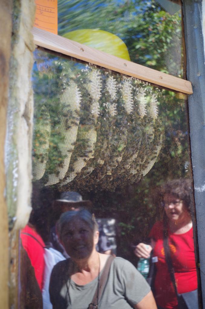 ...bot einen tollen Einblick!