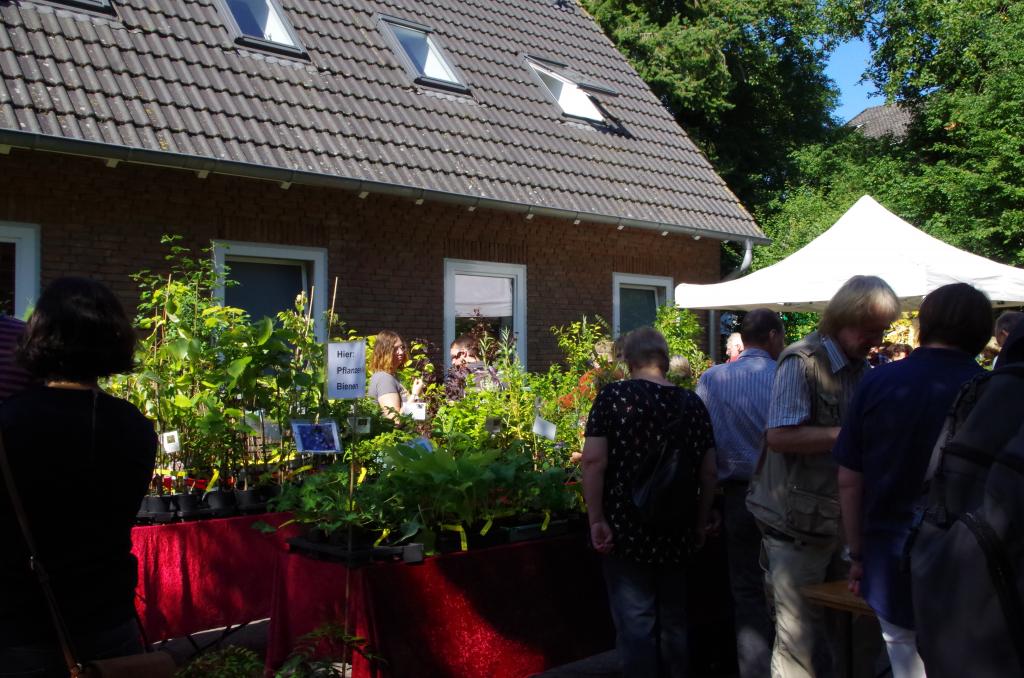 Am Angebot des "Immengartens Jaesch" konnte man wieder kaum vorüber gehen - viele bienenenfreundliche Blütenpflanzen für den Garten lockten verführerisch!