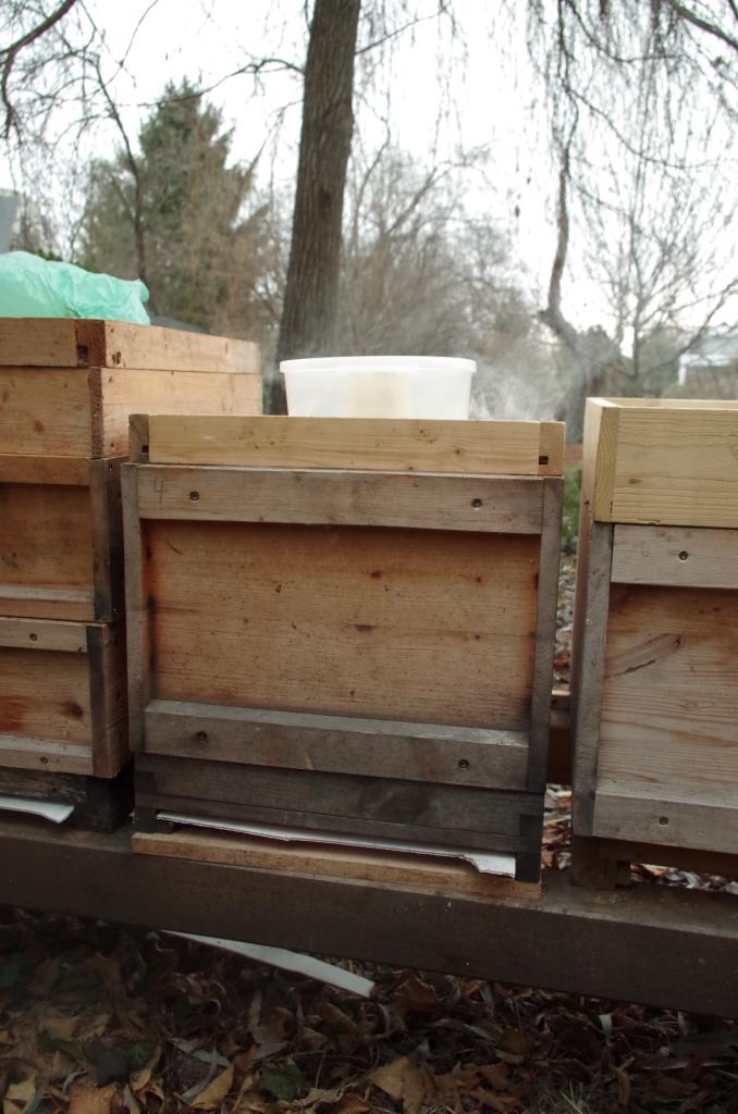 Fluglöcher und Bodengitter wurden zuvor verschlossen. Bald dringt stechender Qualm aus den Ritzen der Beute. Die Bienen brausen auf und fallen prasselnd sterbend auf den Boden.