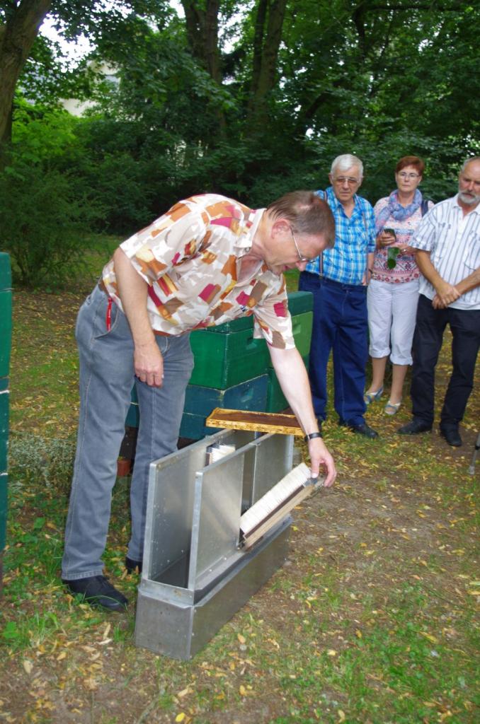 Die Institutsimkerei nutzt Segeberger Beuten mit speziellen Holzböden, die vor allem für die Wanderung konzipiert wurden. Mit diesem modifizierten Abkehr-Fix werden die Honigräume auch ohne Bienenflucht zügig bienenfrei gemacht. Wichtig ist ein enger Abstand (1 cm)  zwischen den gegenüberliegenden Besen.