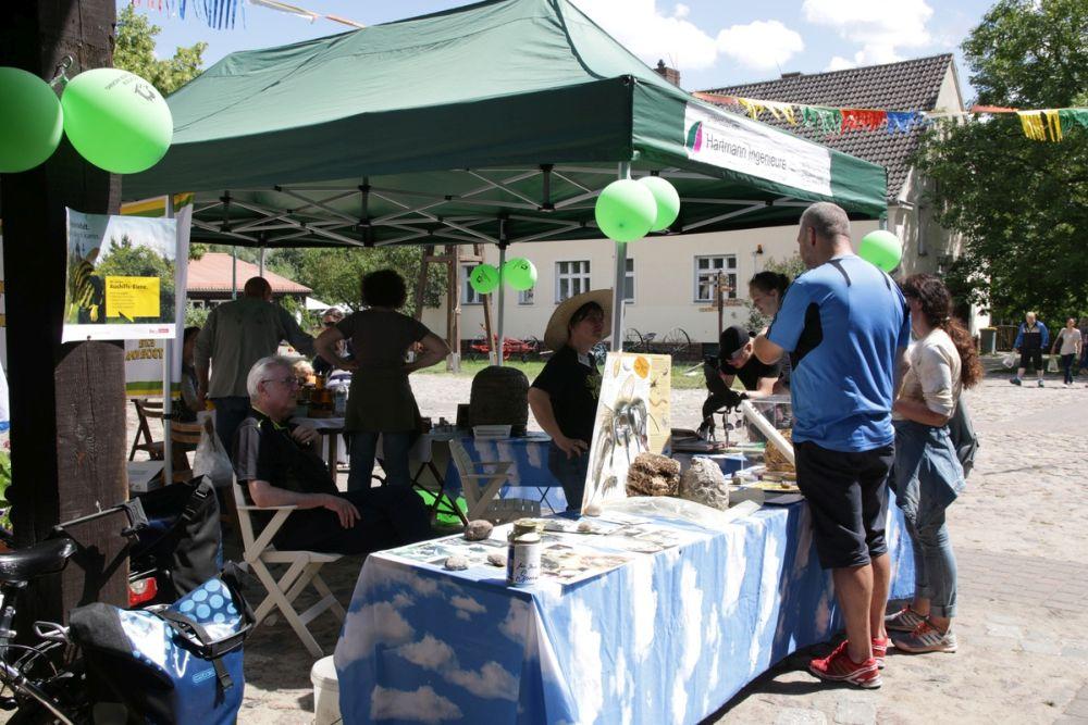 Besonderes Interesse fanden die Wespennester zum Anfassen - die Unterschiede der verschiedenen Arten sind sicht- und fühlbar.<br />Bild: Carola Schuldt