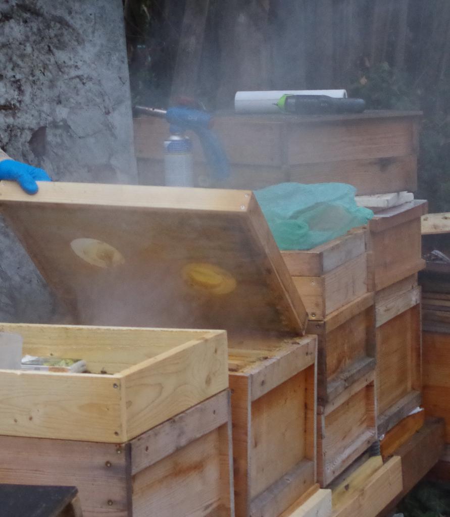 Nach zwei Minuten sind die Bienen tot. Allerdings dauert es noch etwas länger bis sich der Qualm gelegt hat und man die Dose entnehmen kann.