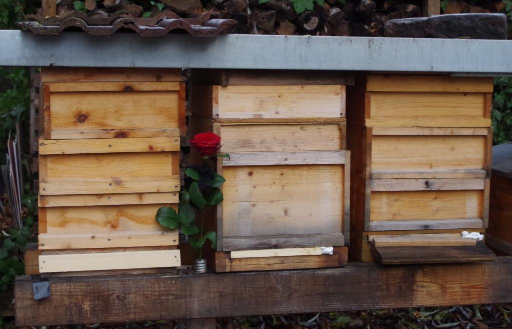 Ein letzter Blumengruß an die getöteten Völker - bis zum Auskratzen und Abflammen der Beuten bleiben sie verschlossen vor Ort.