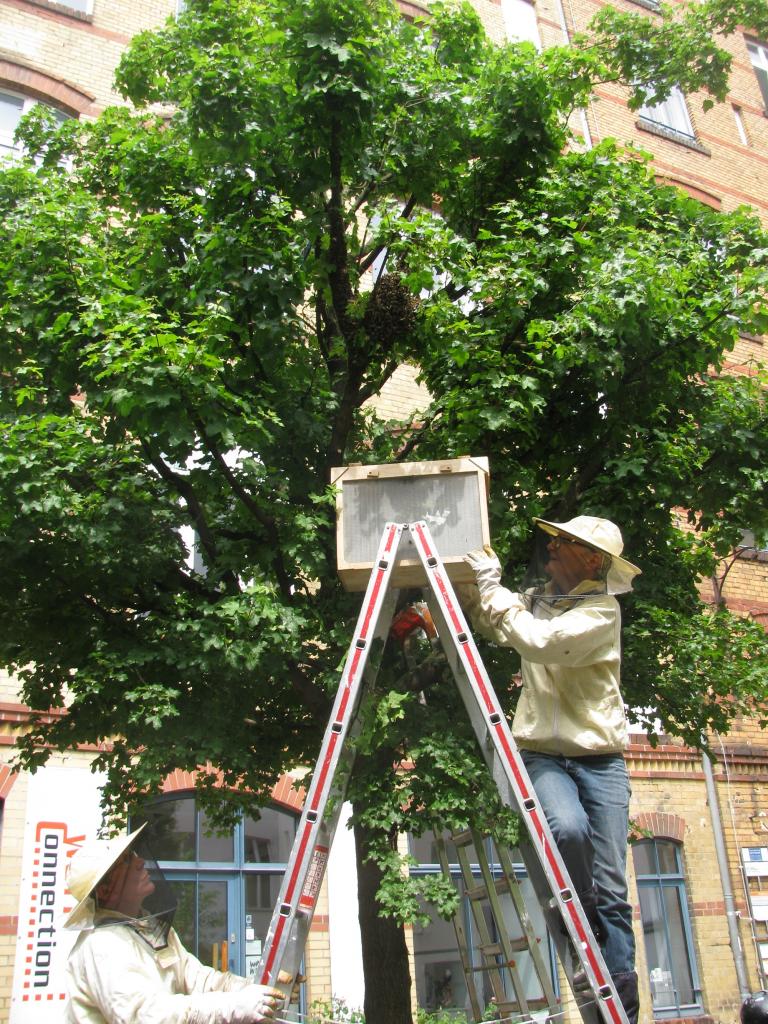 Schwarmfang zu Zweit (Bild: K. Von der Bey)