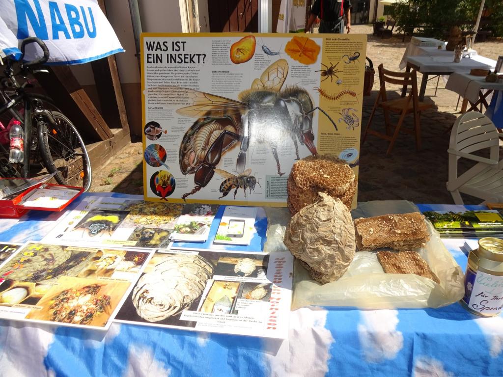 ExponateBild: Gerd Zimmermann