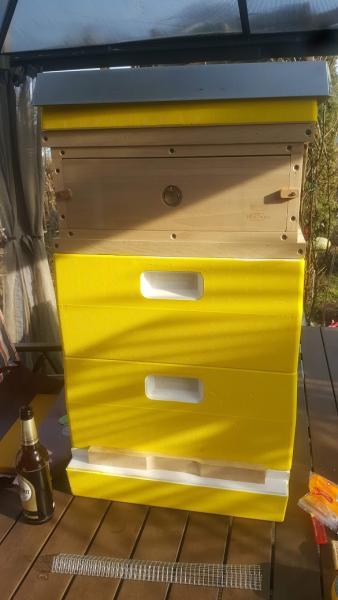 <a href="/profile-mitgliederprofil/984">Jungimker mit Liebe zu seinem Volk...Pankower Honigbär</a>