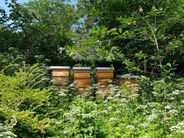 <a href="/profile-mitgliederprofil/210">Stadtimkerei auf DNM und Warré</a>